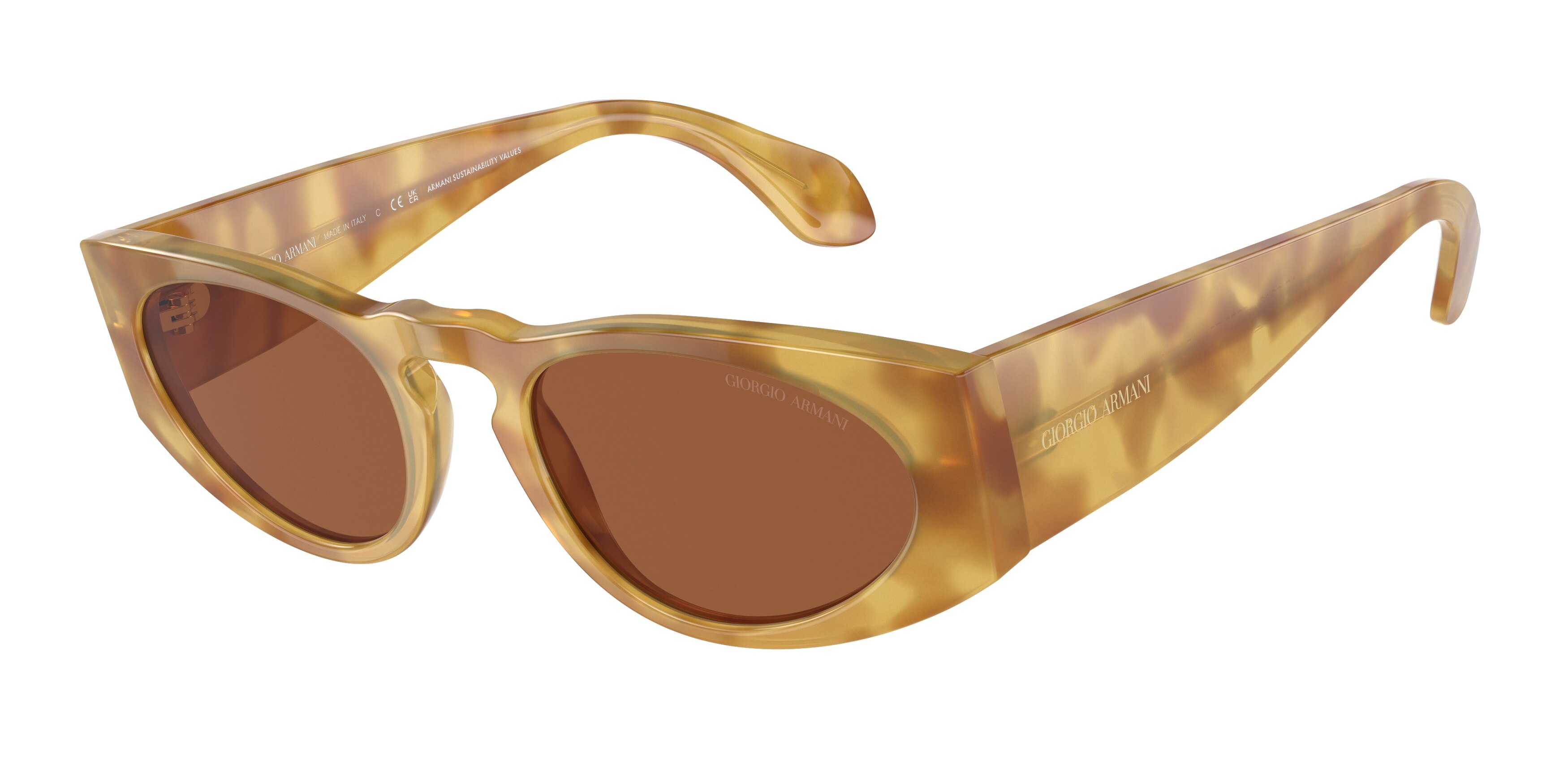 Giorgio Armani AR8216 597973